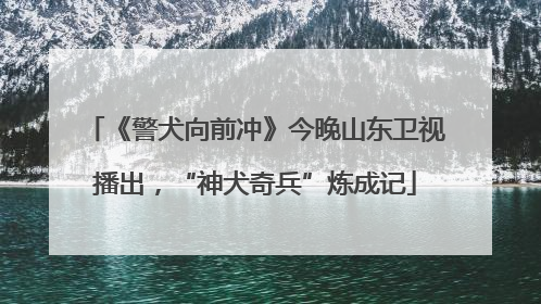 《警犬向前冲》今晚山东卫视播出，“神犬奇兵”炼成记