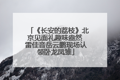 《长安的荔枝》北京见面礼趣味盎然 雷佳音岳云鹏现场认领卧龙凤雏