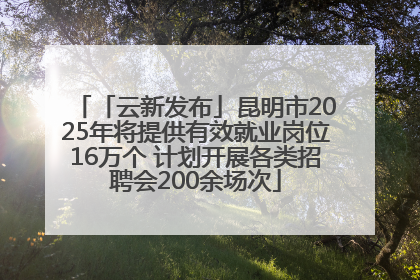 「云新发布」昆明市2025年将提供有效就业岗位16万个 计划开展各类招聘会200余场次