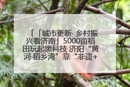 「城市更新· 乡村振兴看济南」5000亩稻田玩起黑科技 济阳“黄河·稻乡湾”靠“非遗+露营”火出圈