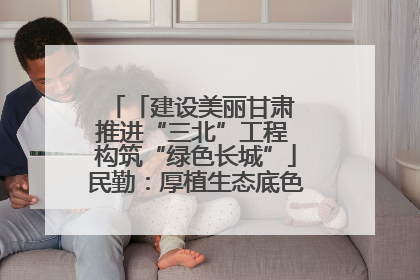 「建设美丽甘肃 推进“三北”工程 构筑“绿色长城”」民勤：厚植生态底色 筑牢绿色屏障
