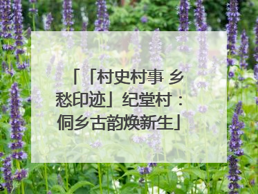 「村史村事 乡愁印迹」纪堂村：侗乡古韵焕新生