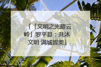 「文明之光耀云岭」罗平县：共沐文明 满城皆美