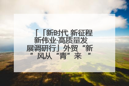 「新时代 新征程 新伟业·高质量发展调研行」外贸“新”风从“青”来 “双向奔赴”启新程