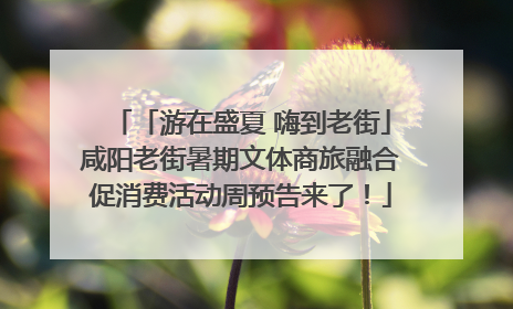 「游在盛夏 嗨到老街」咸阳老街暑期文体商旅融合促消费活动周预告来了！
