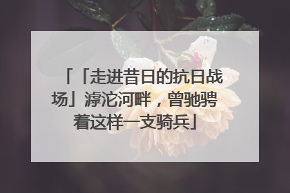 「走进昔日的抗日战场」滹沱河畔，曾驰骋着这样一支骑兵