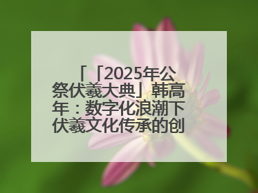 「2025年公祭伏羲大典」韩高年：数字化浪潮下伏羲文化传承的创新之道