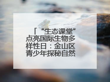 “生态课堂”点亮国际生物多样性日：金山区青少年探秘自然共筑生命家园
