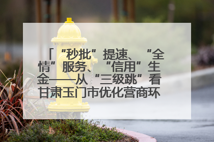 “秒批”提速、“全情”服务、“信用”生金——从“三级跳”看甘肃玉门市优化营商环境的进阶之路