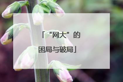 “网大”的困局与破局