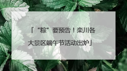 “粽”要预告！栾川各大景区端午节活动出炉