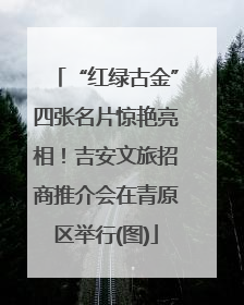 “红绿古金”四张名片惊艳亮相！吉安文旅招商推介会在青原区举行(图)