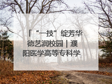 “一技”绽芳华 德艺润校园｜濮阳医学高等专科学校开展丰富多彩的职业教育活动周主题活动