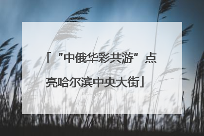 “中俄华彩共游”点亮哈尔滨中央大街