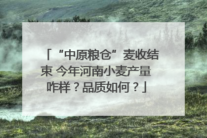 “中原粮仓”麦收结束 今年河南小麦产量咋样？品质如何？