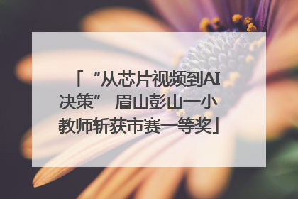 “从芯片视频到AI决策” 眉山彭山一小教师斩获市赛一等奖