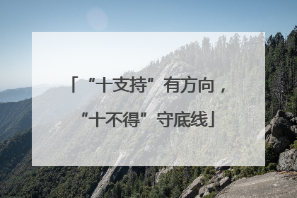 “十支持”有方向，“十不得”守底线