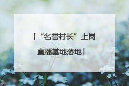 “名誉村长”上岗 直播基地落地