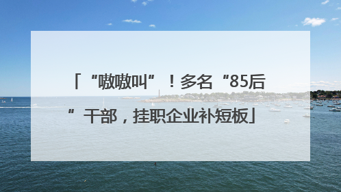 “嗷嗷叫”！多名“85后”干部，挂职企业补短板