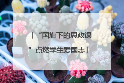 “国旗下的思政课”点燃学生爱国志