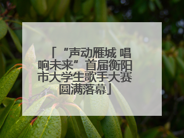 “声动雁城 唱响未来”首届衡阳市大学生歌手大赛圆满落幕