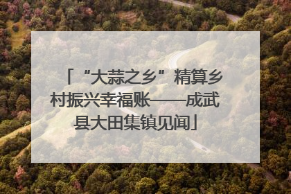 “大蒜之乡”精算乡村振兴幸福账——成武县大田集镇见闻