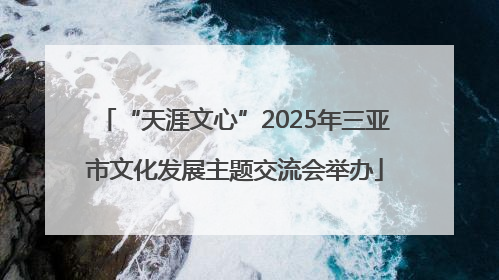 “天涯文心”2025年三亚市文化发展主题交流会举办