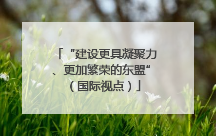 “建设更具凝聚力、更加繁荣的东盟”（国际视点）