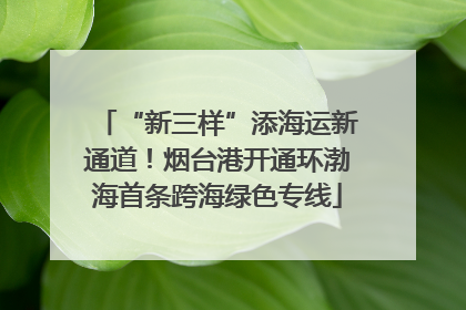 “新三样”添海运新通道！烟台港开通环渤海首条跨海绿色专线