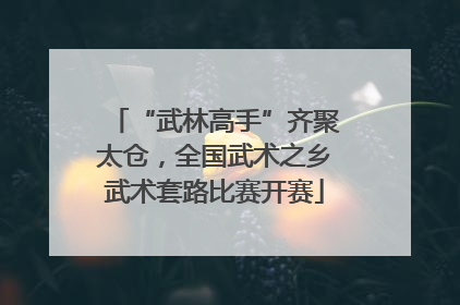 “武林高手”齐聚太仓，全国武术之乡武术套路比赛开赛