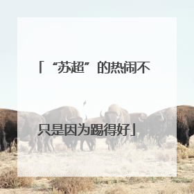 “苏超”的热闹不只是因为踢得好