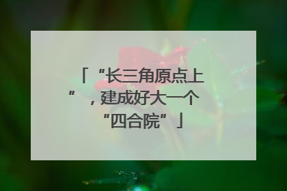 “长三角原点上”，建成好大一个“四合院”