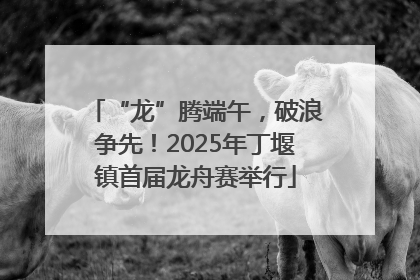 “龙”腾端午，破浪争先！2025年丁堰镇首届龙舟赛举行