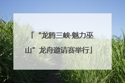 “龙腾三峡·魅力巫山”龙舟邀请赛举行