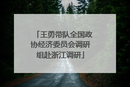 王勇带队全国政协经济委员会调研组赴浙江调研