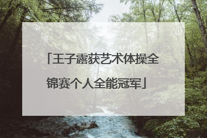 王子露获艺术体操全锦赛个人全能冠军