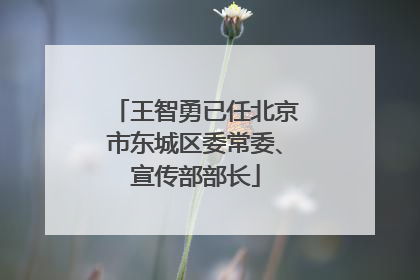 王智勇已任北京市东城区委常委、宣传部部长