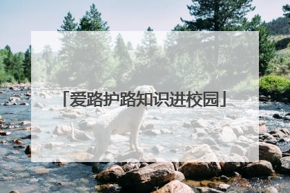 爱路护路知识进校园