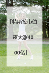 特斯拉市值一夜大涨4000亿