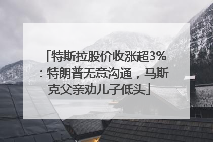 特斯拉股价收涨超3%：特朗普无意沟通，马斯克父亲劝儿子低头