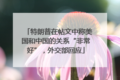 特朗普在帖文中称美国和中国的关系“非常好”，外交部回应