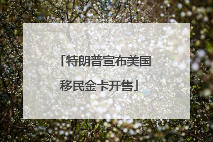 特朗普宣布美国移民金卡开售