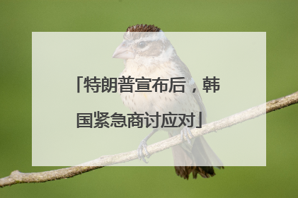 特朗普宣布后，韩国紧急商讨应对