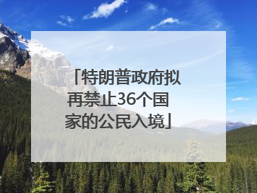 特朗普政府拟再禁止36个国家的公民入境
