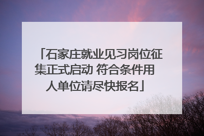 石家庄就业见习岗位征集正式启动 符合条件用人单位请尽快报名