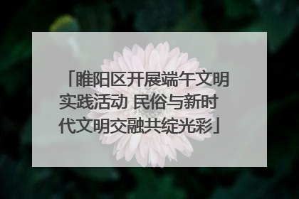 睢阳区开展端午文明实践活动 民俗与新时代文明交融共绽光彩