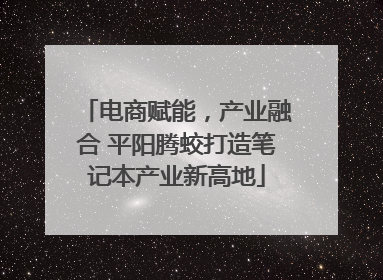 电商赋能，产业融合 平阳腾蛟打造笔记本产业新高地