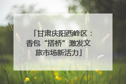 甘肃庆阳西峰区：香包“搭桥”激发文旅市场新活力