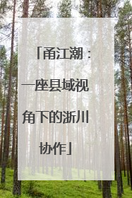 甬江潮：一座县域视角下的浙川协作