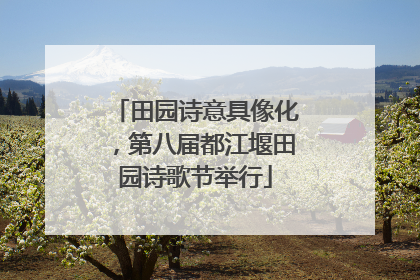 田园诗意具像化，第八届都江堰田园诗歌节举行